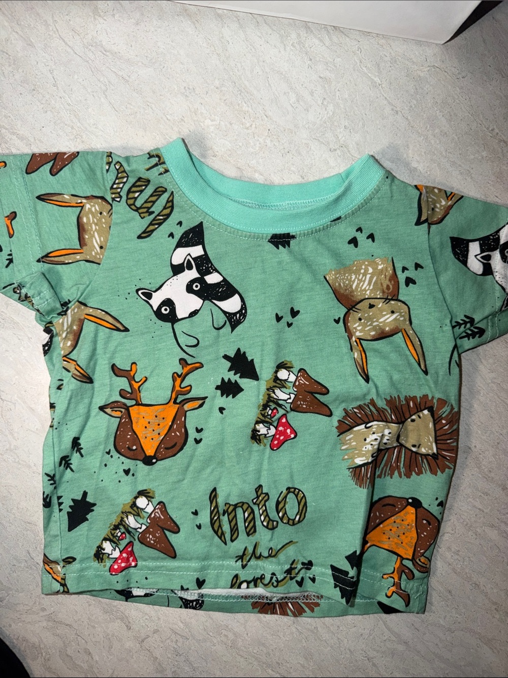 Mint Green Woodland Animals Graphic Kids Tee
